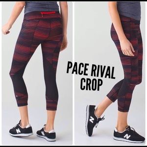 Pace Rival Crop